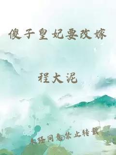 傻子皇妃要改嫁